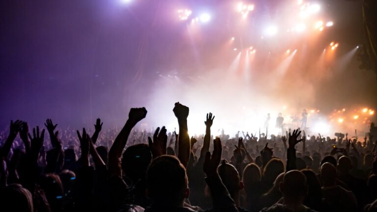 Concierto con el público frente al escenario